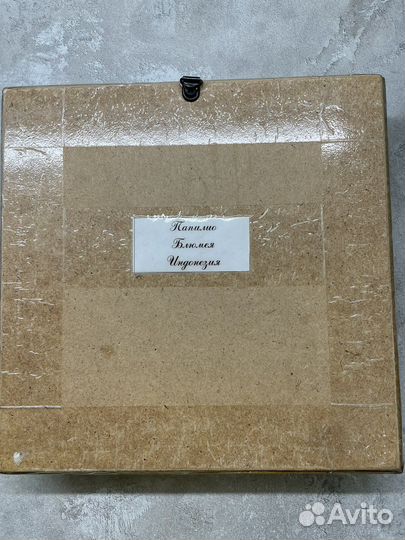 Экзотика. Бабочка.Papilio blumei