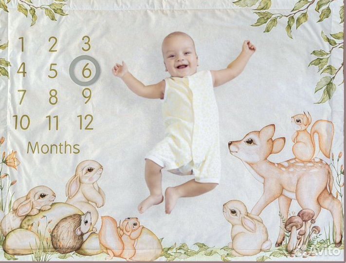 Фотоплед по месяцам