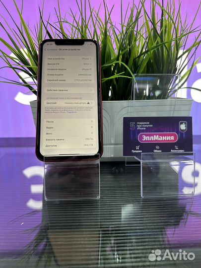 iPhone 11, 256 ГБ