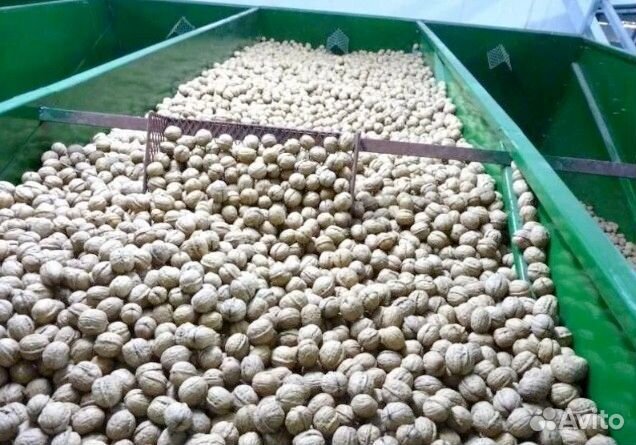 Макадамия орехи