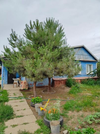 Дом 79,9 м² на участке 10 сот.