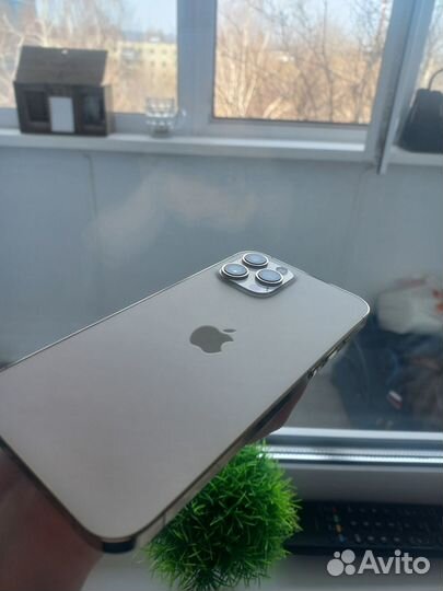 iPhone 12 Pro Max, 256 ГБ