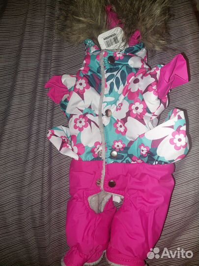 Одежда для собаки