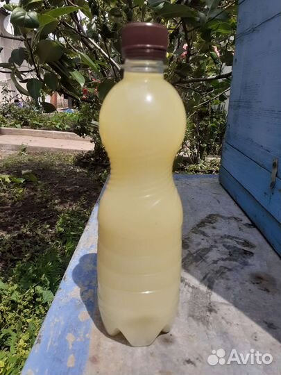 Жир байбака(сурка)