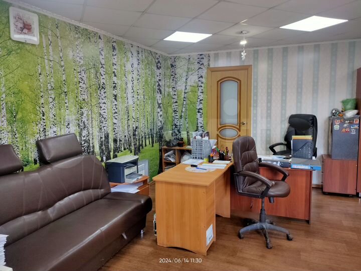 Торговая площадь, 481 м²