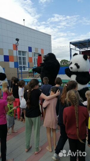 Белый Медведь Кин конг Панда ростовые куклы