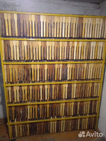 Пчелиная сушь