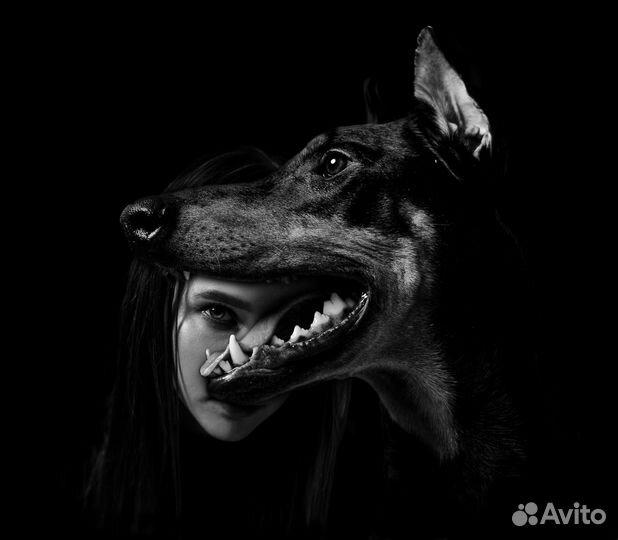 Фотоаппарат Sony a7 ii + sony fe 50 1.8