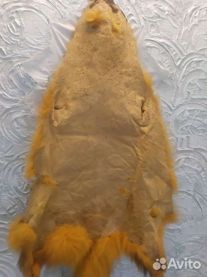 Мех крашеного енота