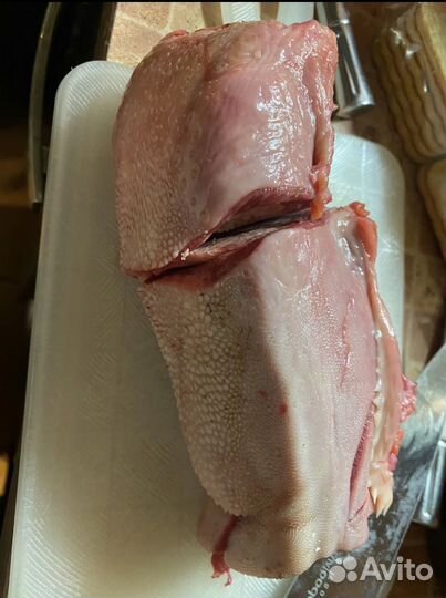 Мясо говядина для собак