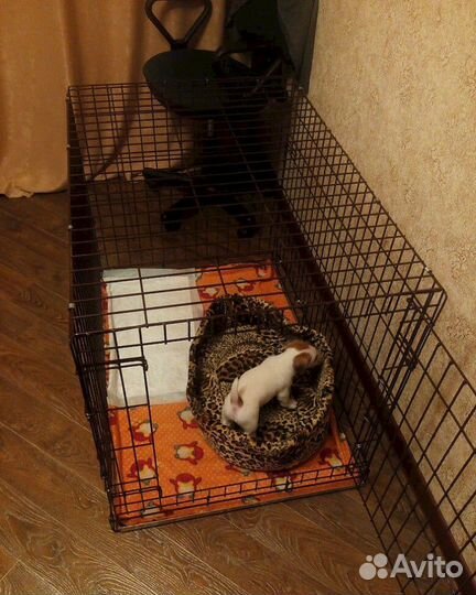 Клетка для собак