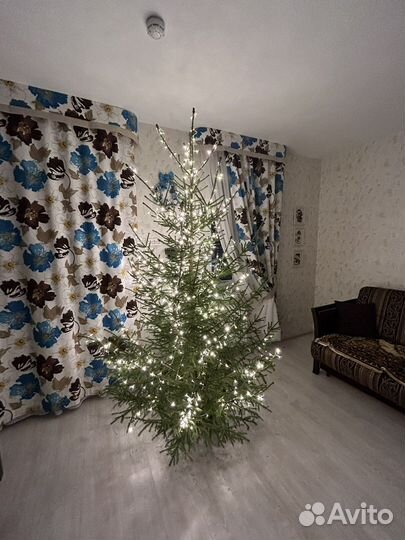 Шторы продаю комплект и тюль