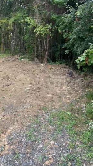 Участок 4 сот. (ИЖС)