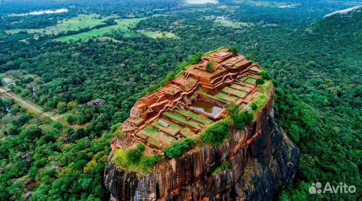 Тур-поездка Шри-Ланка от 1ч