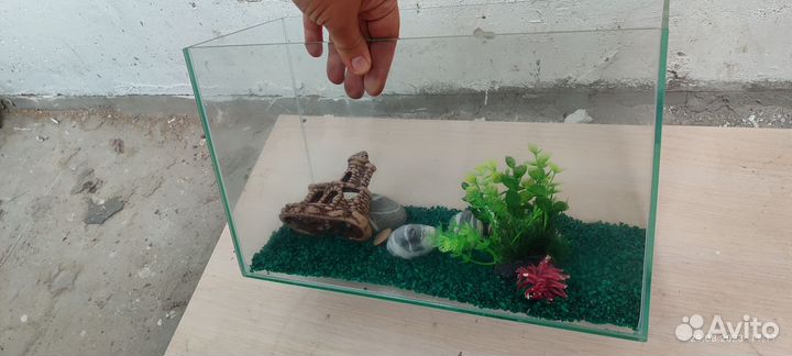 Аквариум