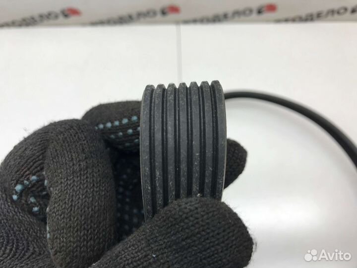 Ремень приводной поликлиновой Marshall BMW 5