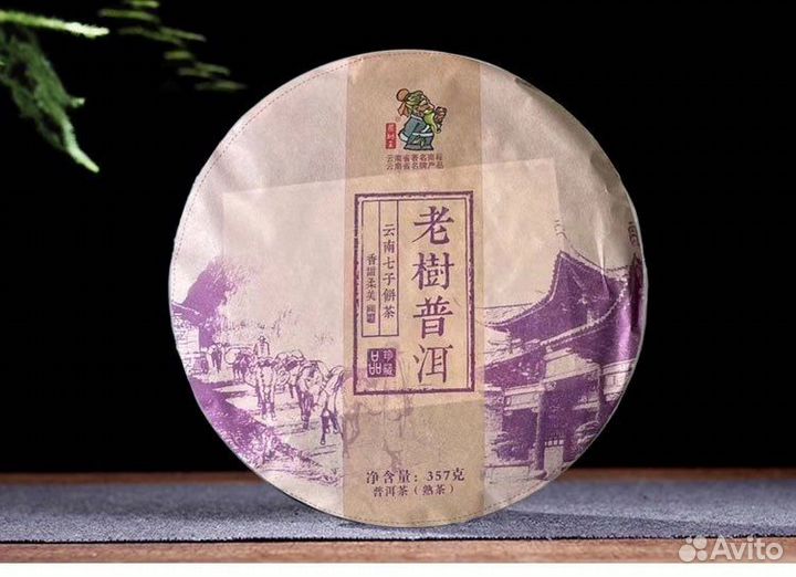 Пуэр Шу Ча Шу Ван