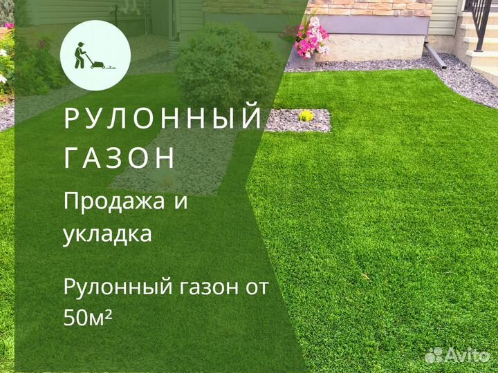 Рулонный газон эконом