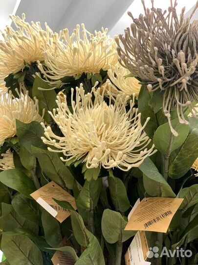 Протея искусственная