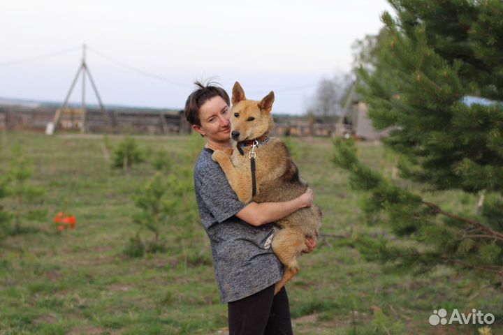 Сама нежность и скромность Лиза, в дар