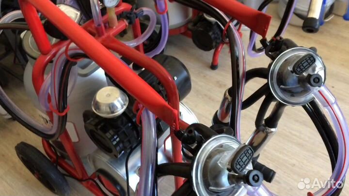 Доильный аппарат Милка коллектор Pols