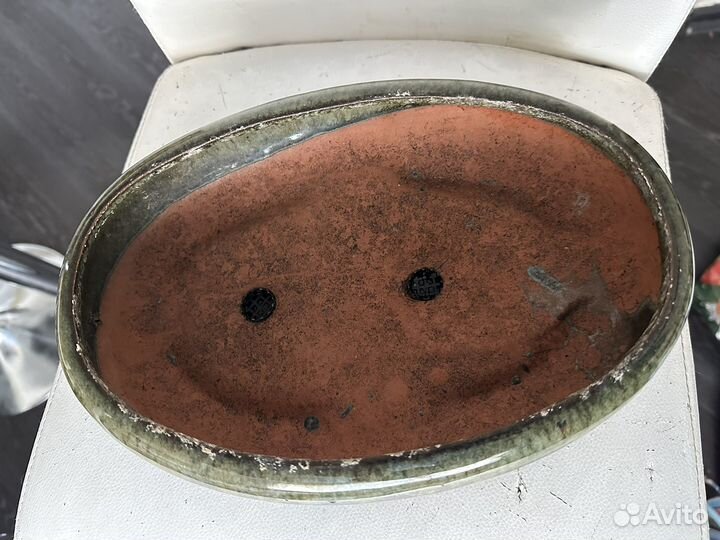 Керамический горшок для бонсая