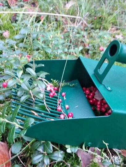 Совок для сбора ягод, лекарственного сырья, (11)