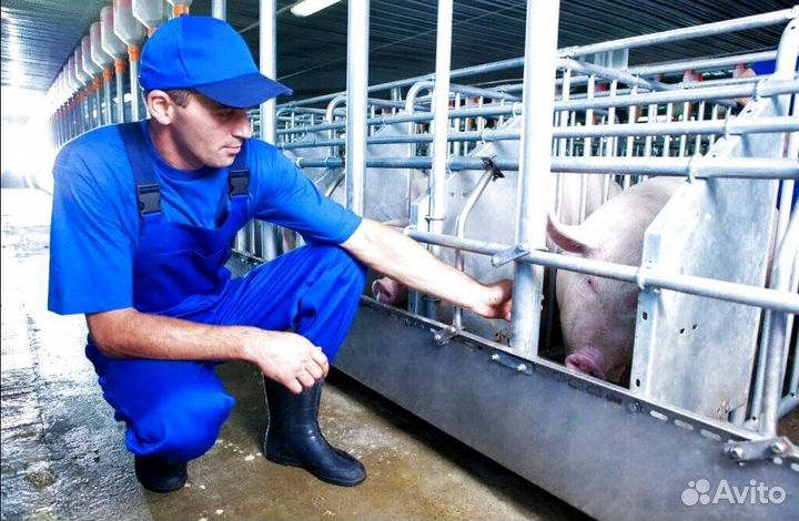 Работник по уходу за животными