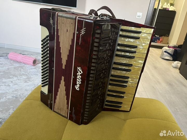 Аккордеон dolling