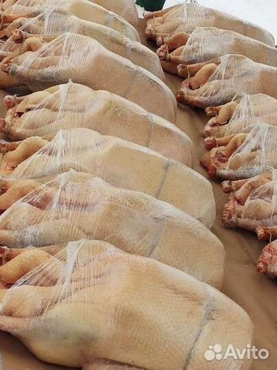 Мясо муларда