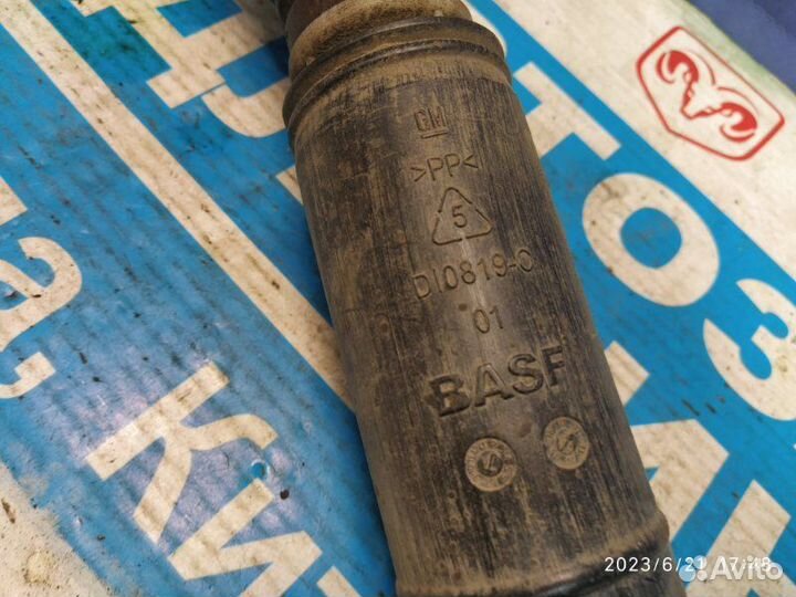 Амортизатор подвески зад. прав. Chevrolet Cobalt 1