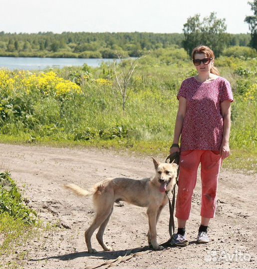 Активный Дин