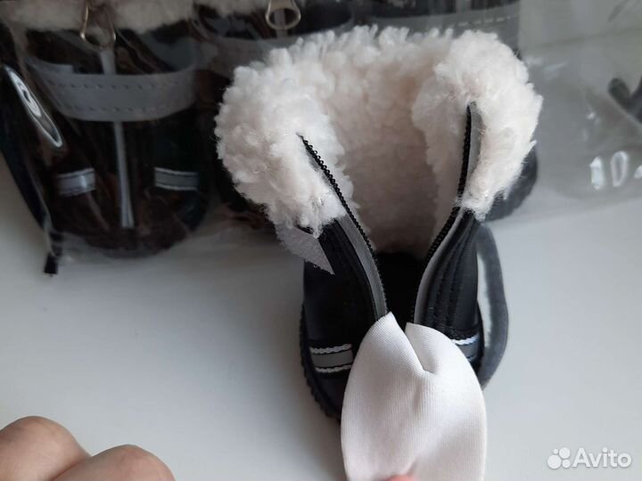 Ботинки для собак