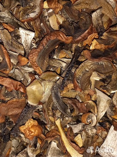 Сушеные грибы подосиновики