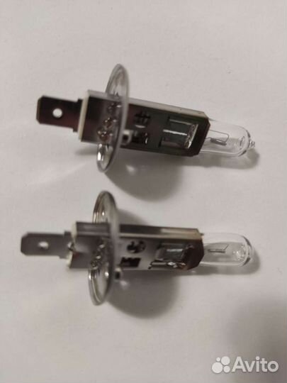 Лампы H1 галогеновые