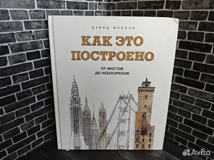 Дэвид Маколи 