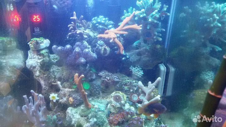 Ихтиолог-рыбовод. Уход за аквариумом