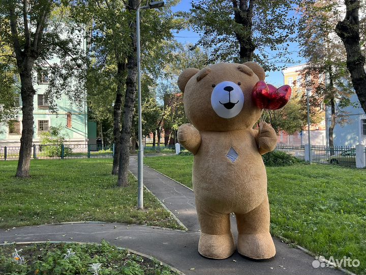 Поздравление от мишки из тик-тока