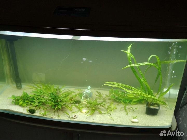 Аквариум