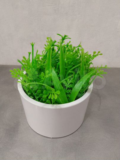 Квартира-студия, 20 м², 1/5 эт.