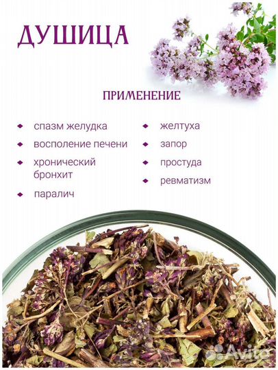 Душица сушеная сбор 2023