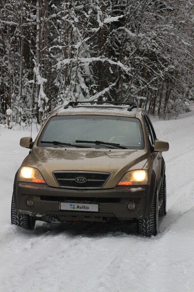 Kia Sorento: фото владельца