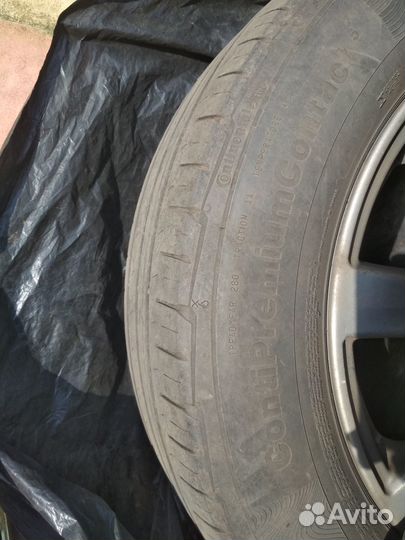 Continental ContiPremiumContact 5 195/65 R15