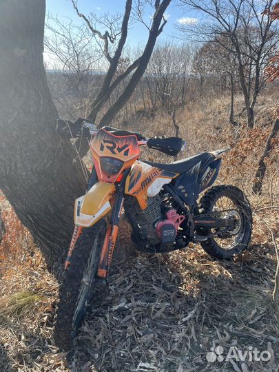 Regulmoto athlete 300