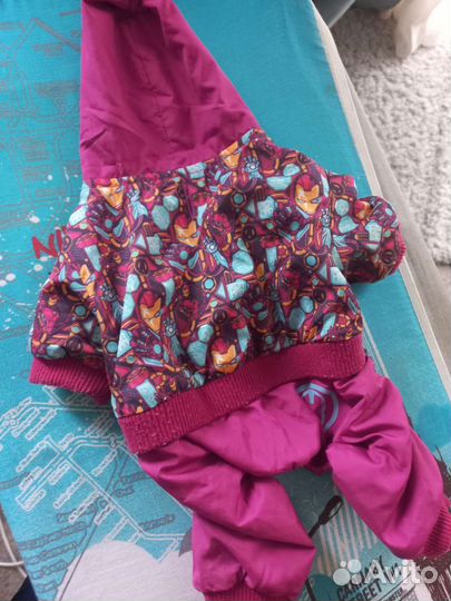 Одежда для собак мелких пород