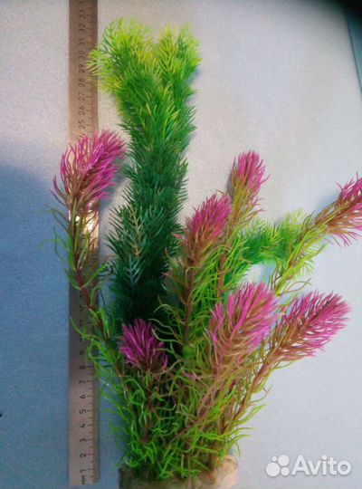 Водоросли искусственные