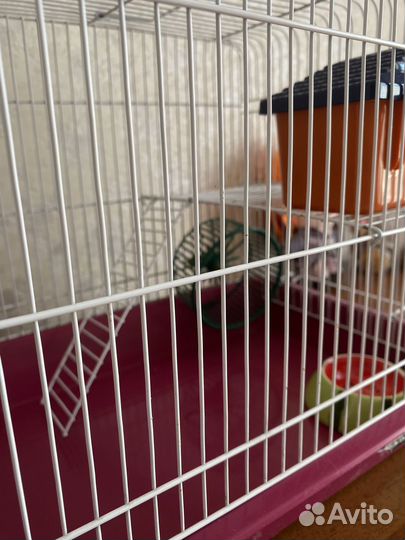 Продам клетку для хомячка