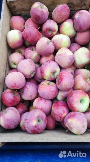 Яблоки флорина