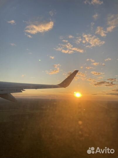 Услуги репититора по русскому языку