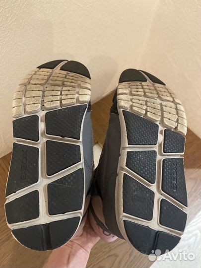 Сапоги Geox 36